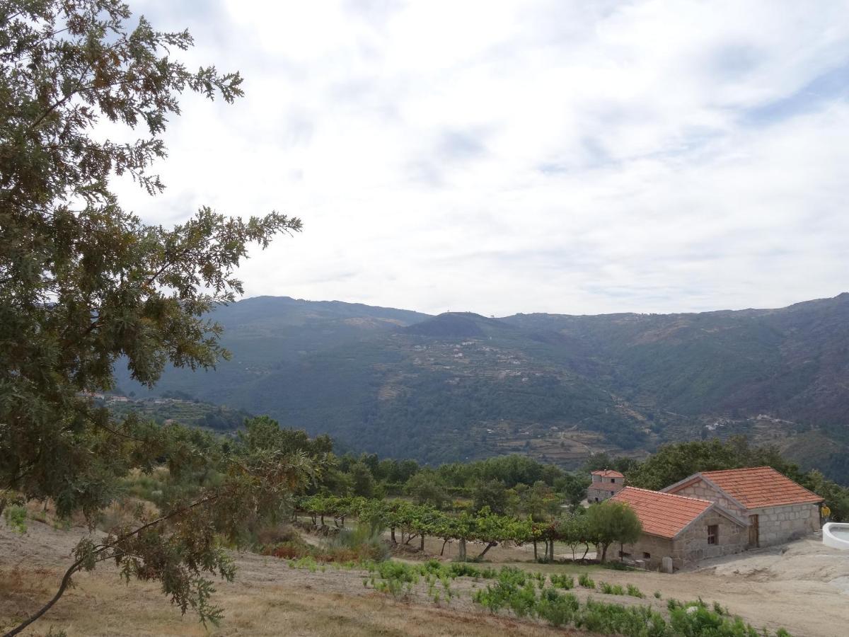 Quinta De S. Cipriano Βίλα Resende Εξωτερικό φωτογραφία