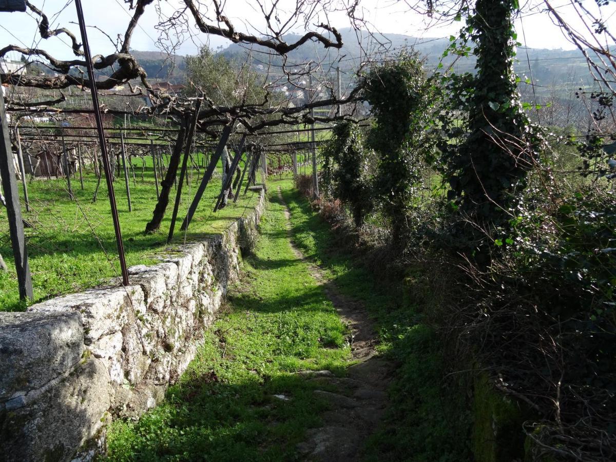 Quinta De S. Cipriano Βίλα Resende Εξωτερικό φωτογραφία