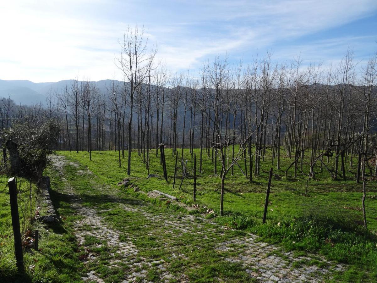 Quinta De S. Cipriano Βίλα Resende Εξωτερικό φωτογραφία