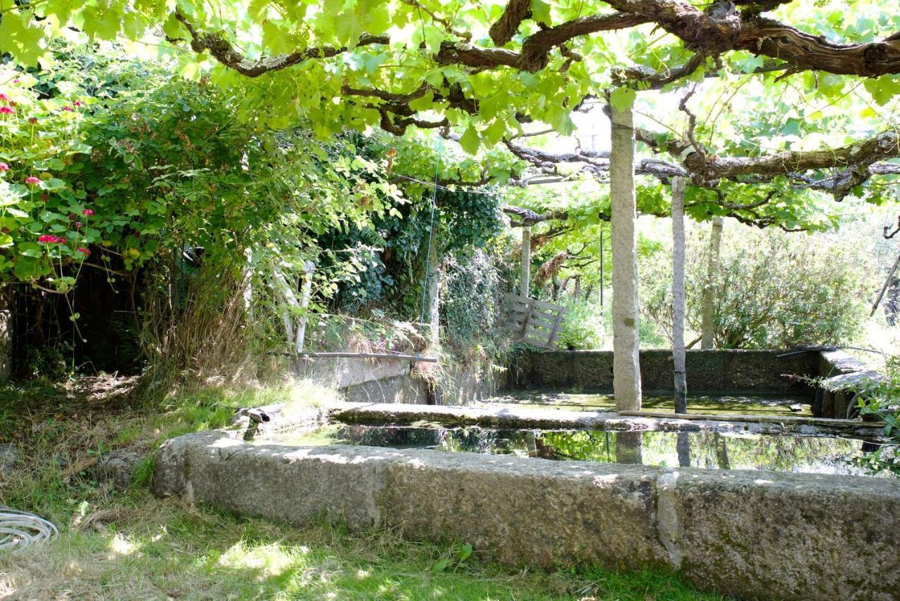 Quinta De S. Cipriano Βίλα Resende Εξωτερικό φωτογραφία