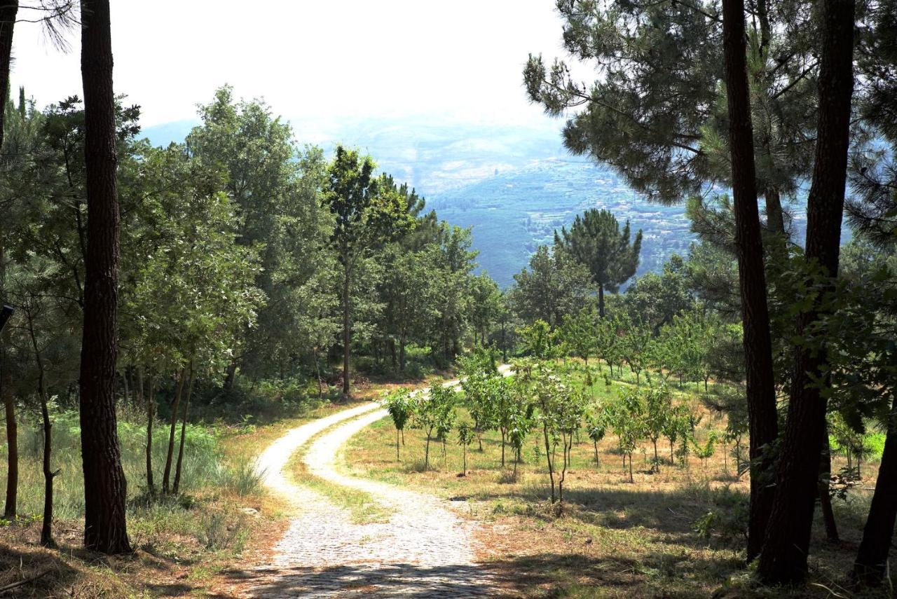 Quinta De S. Cipriano Βίλα Resende Εξωτερικό φωτογραφία