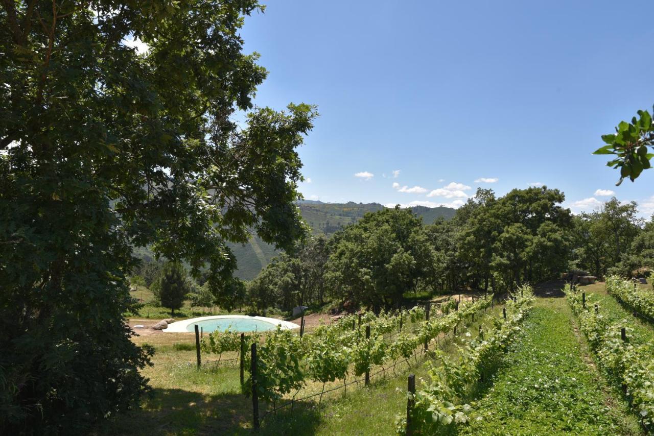Quinta De S. Cipriano Βίλα Resende Εξωτερικό φωτογραφία